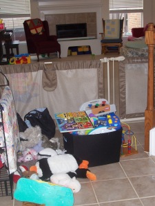 All toys went over the gate, even the stuffed animals